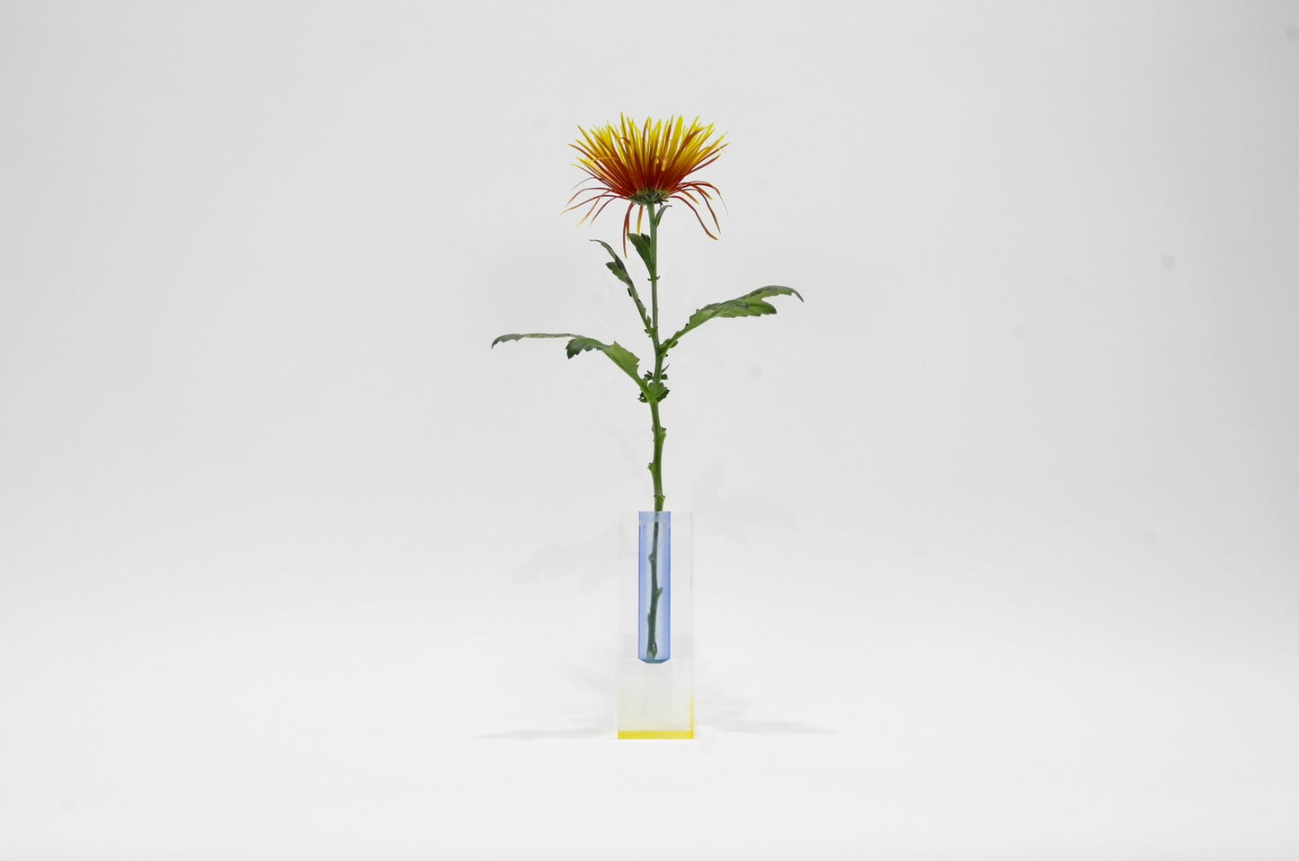 ACRY FLOWER VASE BLUE YELLOW