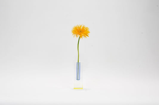 ACRY FLOWER VASE BLUE YELLOW