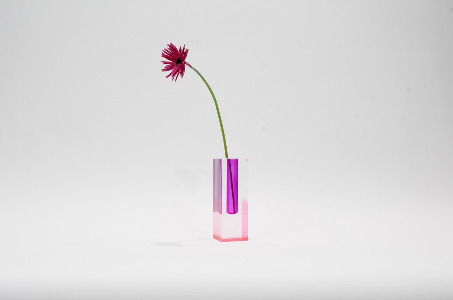 ACRY FLOWER VASE PURPLE PINK